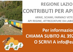 Contributi per gli apicoltori della Regione Lazio