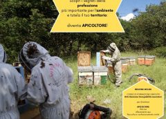 REGIONE MOLISE  Corso di formazione gratuito gol per diventare apicoltore